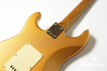 BST-2-KI-RSM/R-CTM GD